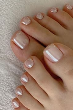 Pies